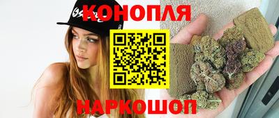 apvp Нальчик