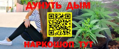 apvp Нальчик