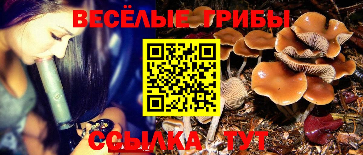 Галлюциногенные грибы мухоморы  Вход с VPN  Сызрань 